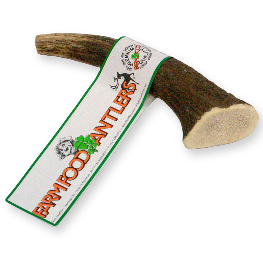 RF - DEER Dog gulf with deer antlers | A natural, safe and healthy treat for your dog | Available in different variants | size XXL, 19-21cm | HARD version RF - DEER Dog gulf with deer antlers | A natural, safe and healthy treat for your dog | Available in different variants | size XXL, 19-21cm | HARD version