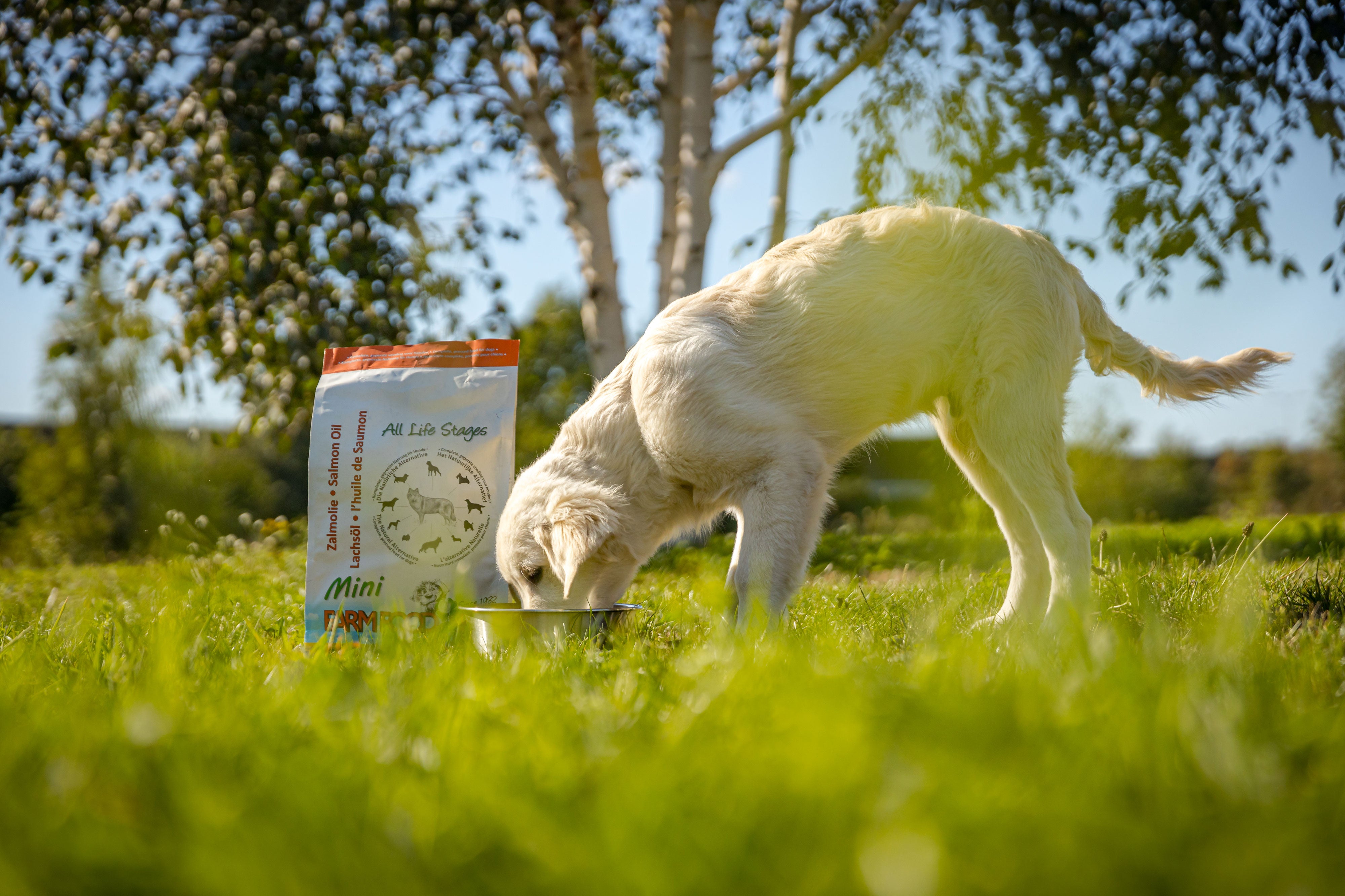 Farmfoods pedigree outlet dog food